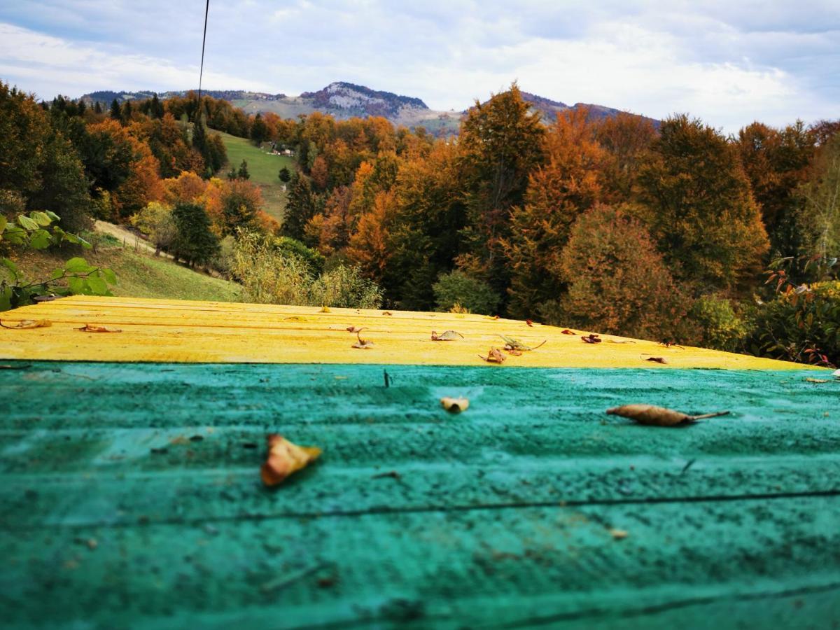 Pensiunea Tabacaru Peştera Esterno foto