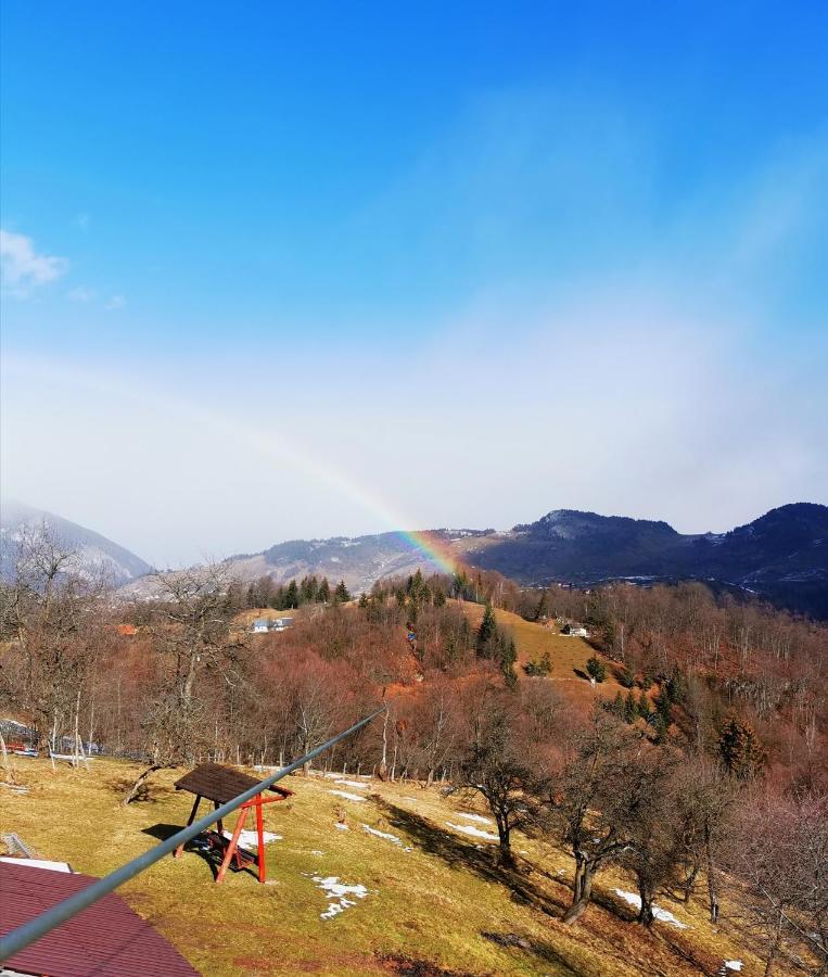 Pensiunea Tabacaru Peştera Esterno foto