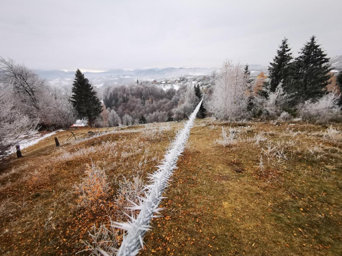 Pensiunea Tabacaru Peştera Esterno foto