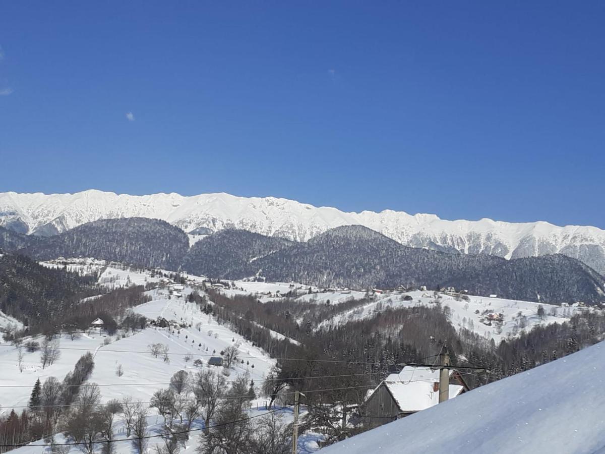 Pensiunea Tabacaru Peştera Esterno foto