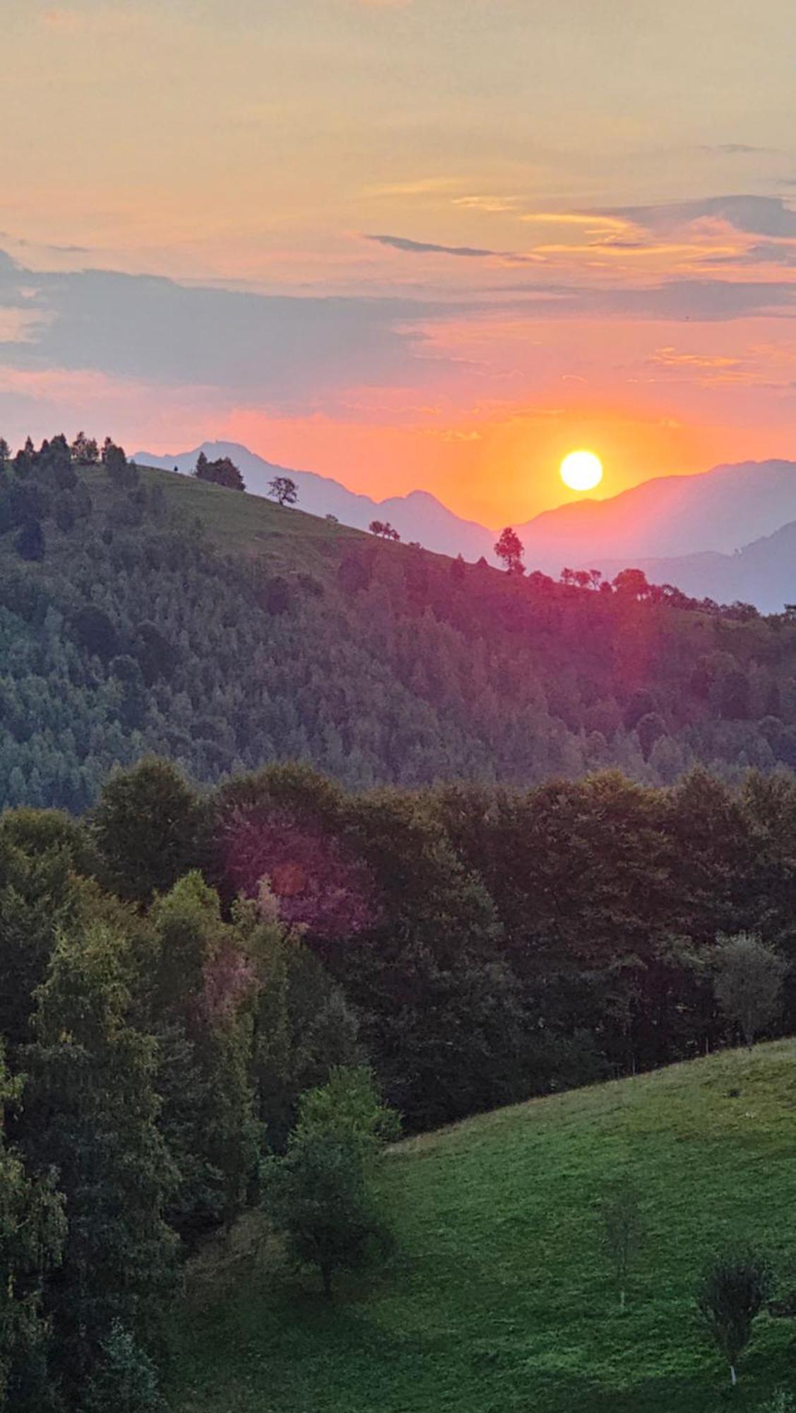 Pensiunea Tabacaru Peştera Esterno foto