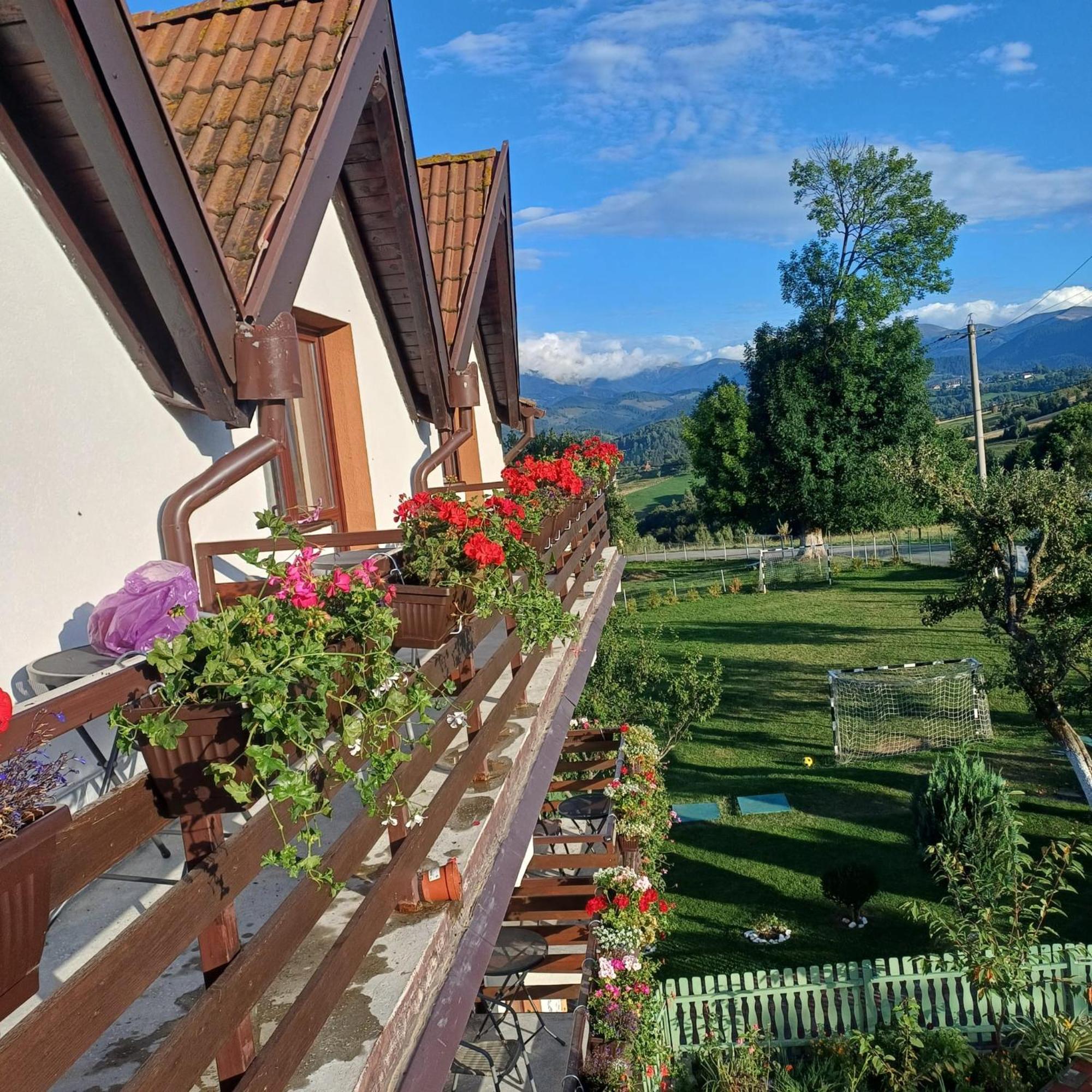 Pensiunea Tabacaru Peştera Esterno foto