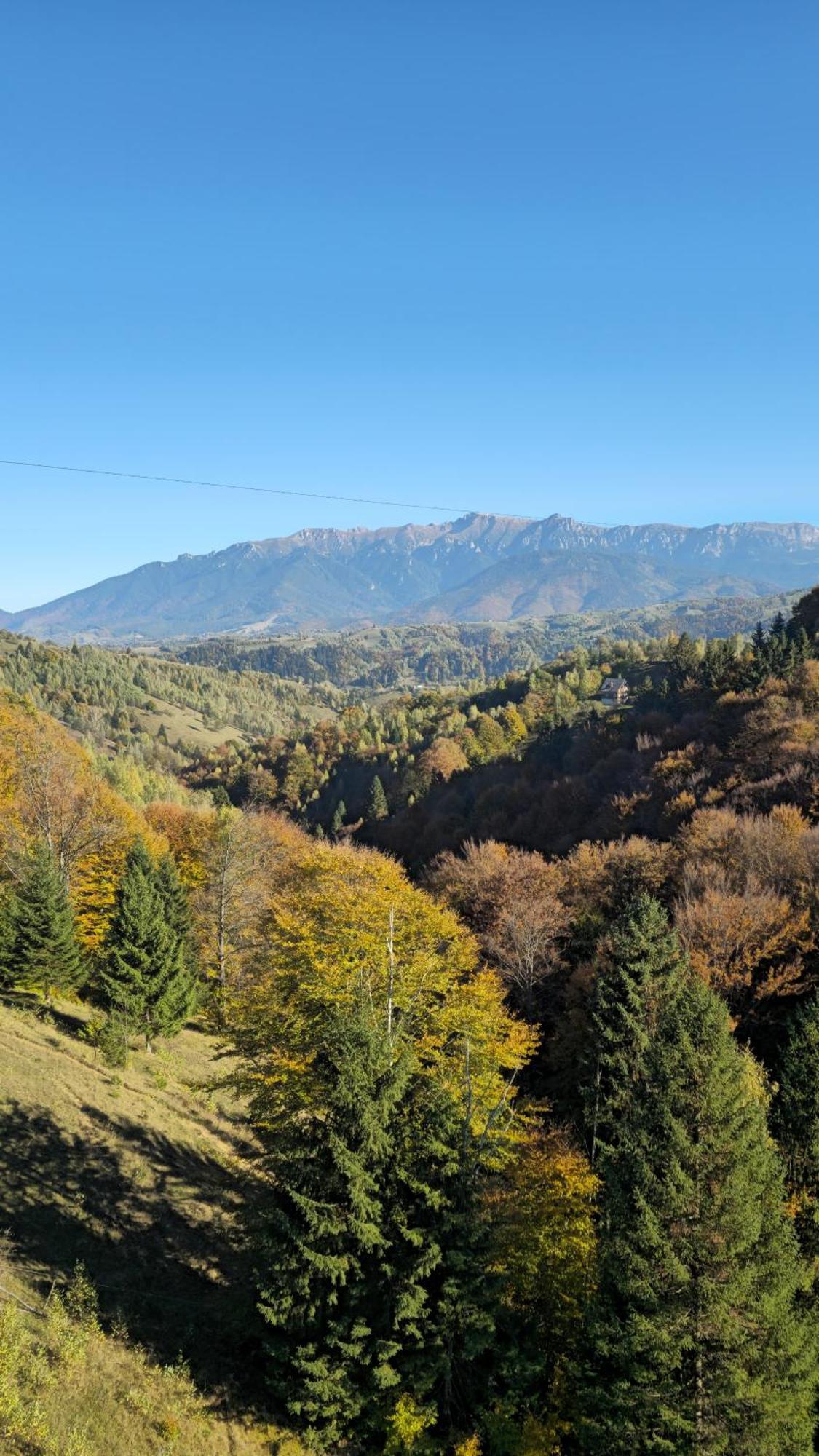 Pensiunea Tabacaru Peştera Esterno foto