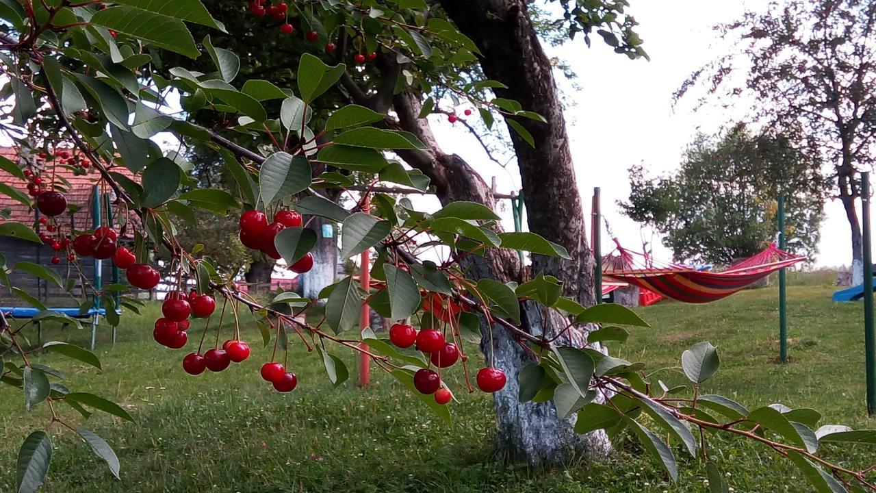 Pensiunea Tabacaru Peştera Esterno foto