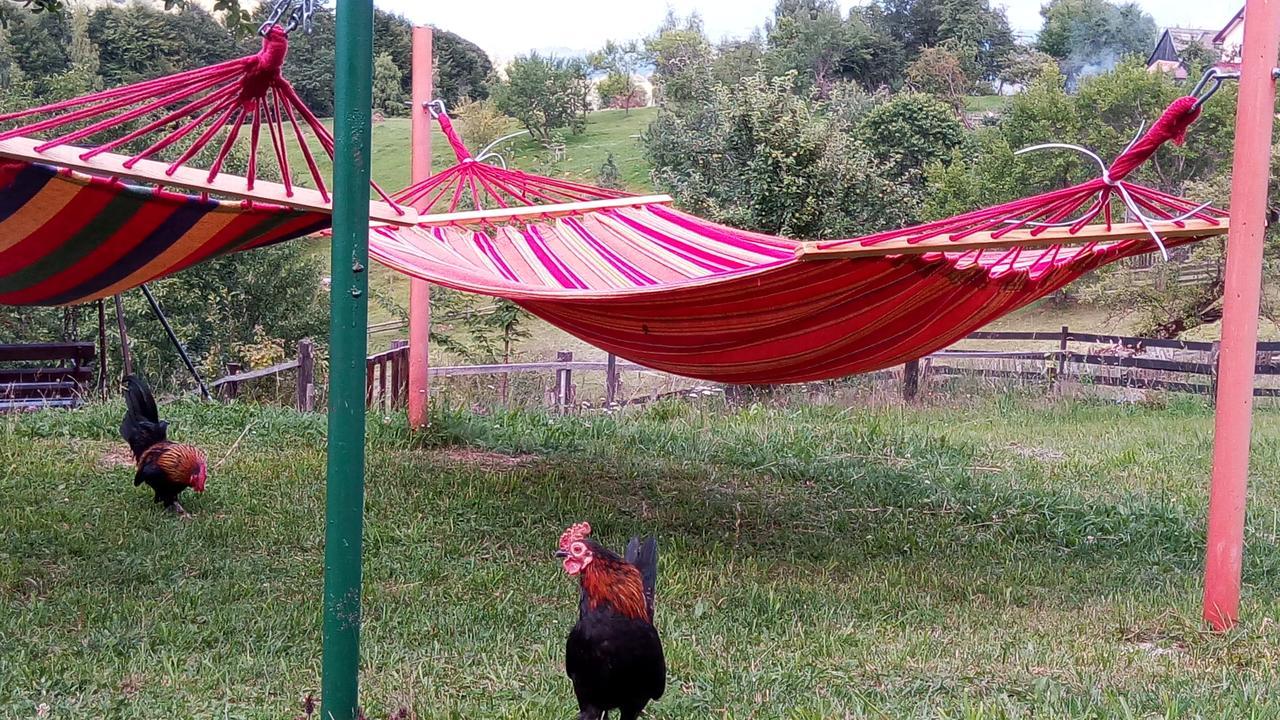 Pensiunea Tabacaru Peştera Esterno foto