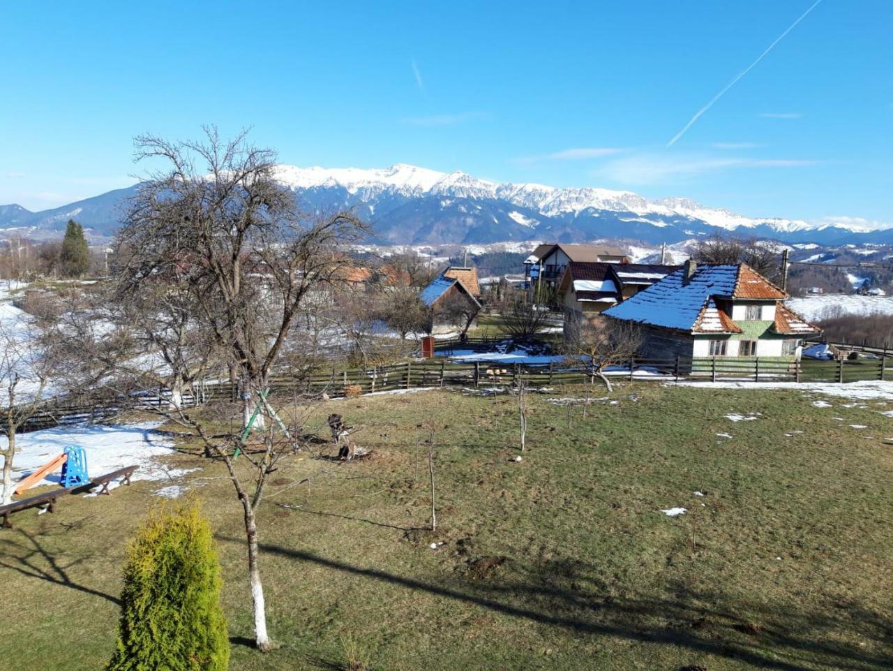 Pensiunea Tabacaru Peştera Esterno foto