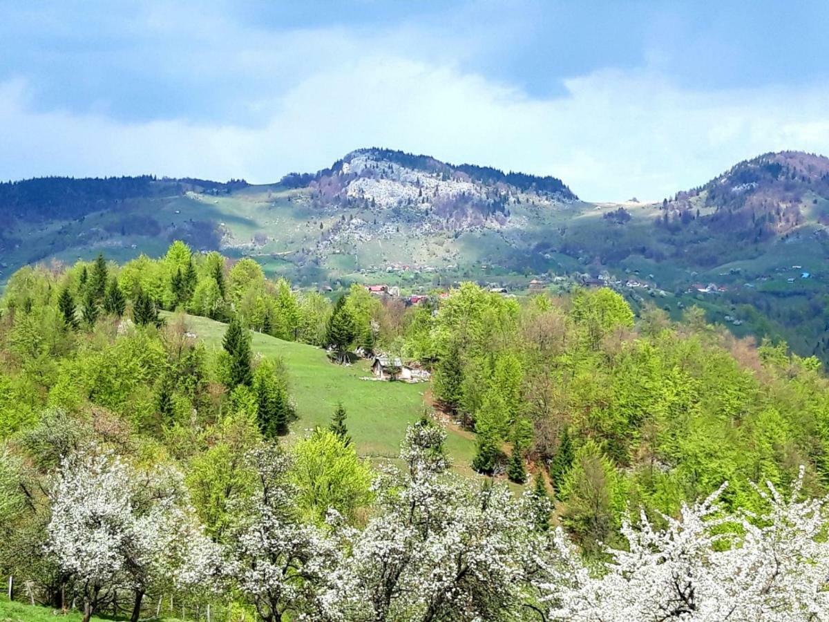 Pensiunea Tabacaru Peştera Esterno foto