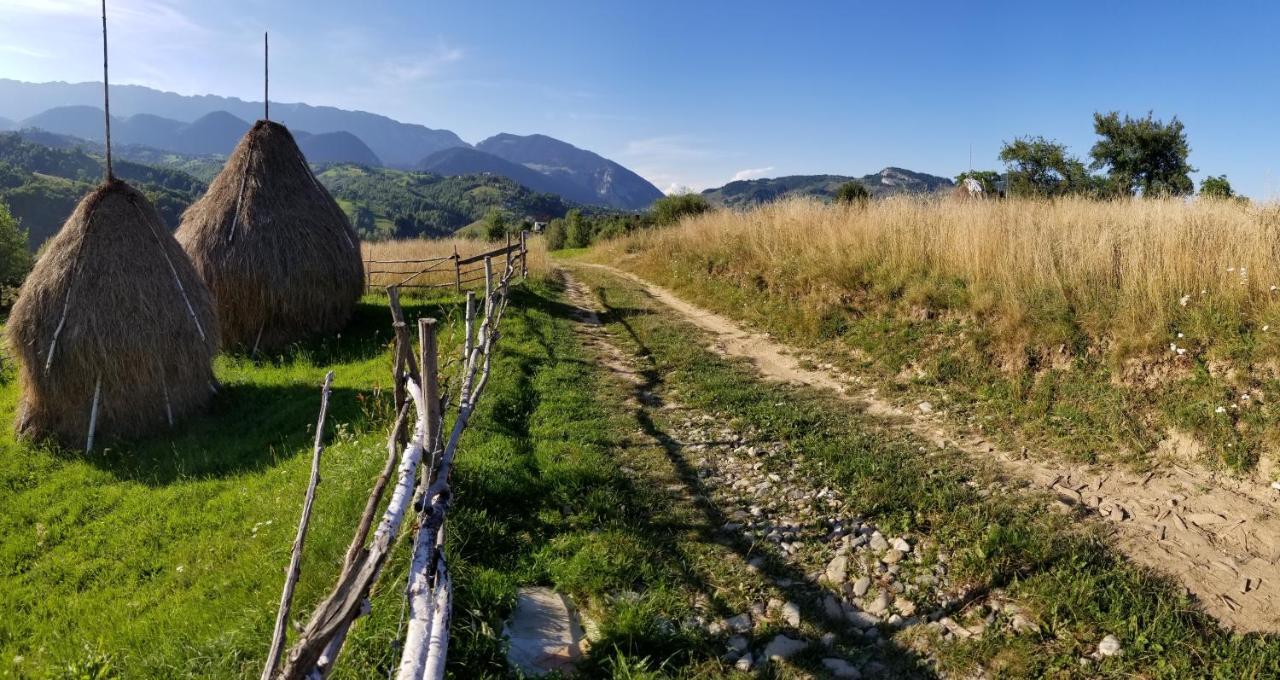 Pensiunea Tabacaru Peştera Esterno foto